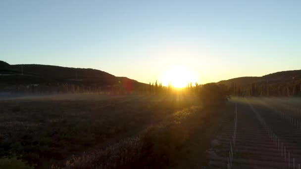 Nézet mező a hajnal a nap sugarai. Lövés. Felülnézete a felkelő nap sugarai a reggeli köd a zöld mezőt — Stock videók