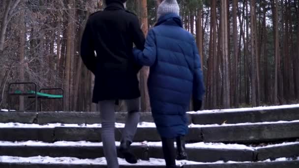 Mladá a krásná pár kráčí ve winter parku, objímání a baví. Valentýn a milostný příběh koncept. Zimní sezóna. Zadní pohled na páru, drželi se za ruce a procházky v zimě — Stock video