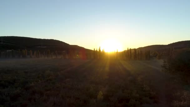 Vista del campo con los rayos del sol del amanecer. Le dispararon. Vista superior de los rayos del sol naciente en el campo verde con niebla matutina — Vídeos de Stock