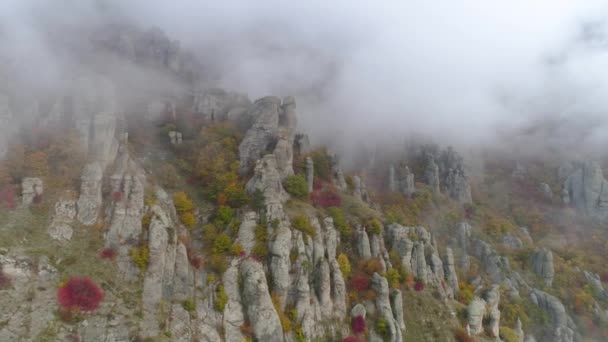 Top view on relief of rocks autumn in fog. Shot. View of rock formations of mountain with colored dry grass and shrubs on fog background — Stock Video