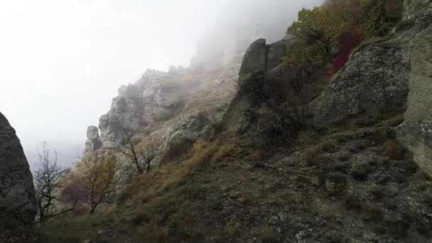 Côté montagne. Fusillade. Vue de dessus de la pente rocheuse avec des arbres colorés en automne. Vue fascinante de la pente dans le brouillard épais — Video