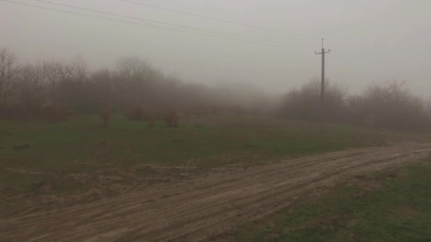 Línea de transmisión de electricidad frente al bosque nublado cerca de la carretera contryside. Le dispararon. Alambres de suministro eléctrico en la niebla por la mañana temprano — Vídeo de stock