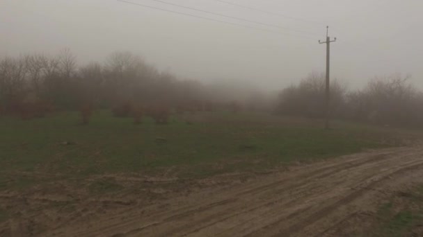 Línea de transmisión de electricidad frente al bosque nublado cerca de la carretera contryside. Le dispararon. Alambres de suministro eléctrico en la niebla por la mañana temprano — Vídeos de Stock