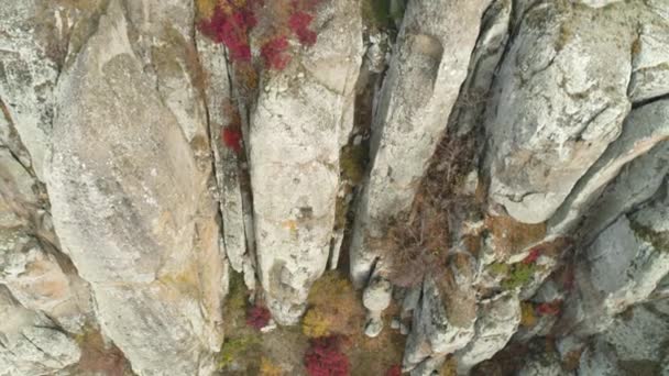 Vista cercana a la roca desde el suelo. Le dispararon. Vista superior del relieve rocoso cerca del comienzo. Otoño coloridos arbustos y plantas en el acantilado de la roca — Vídeos de Stock