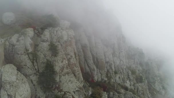 Niebla en la ladera de la montaña. Le dispararon. Diagonal ladera de la montaña con árboles en la niebla de cerca. Niebla densa envuelve todo el espacio de pendiente — Vídeos de Stock