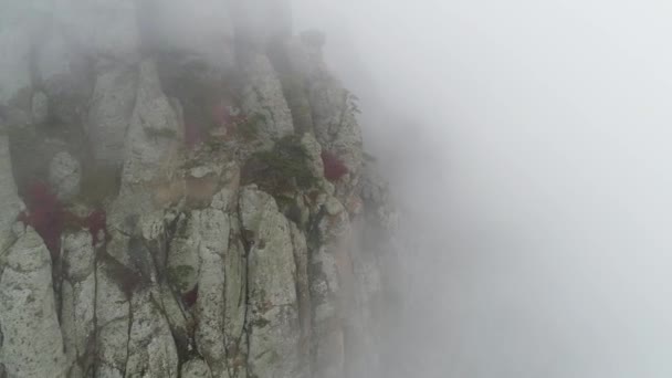 Niebla en la ladera de la montaña. Le dispararon. Diagonal ladera de la montaña con árboles en la niebla de cerca. Niebla densa envuelve todo el espacio de pendiente — Vídeo de stock