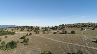 Üstten görünüm alanının kırsal yol ve araba ile. Vurdu. Panoramik mavi Berrak gökyüzü ve yeşil ağaçlar ile sarı alan