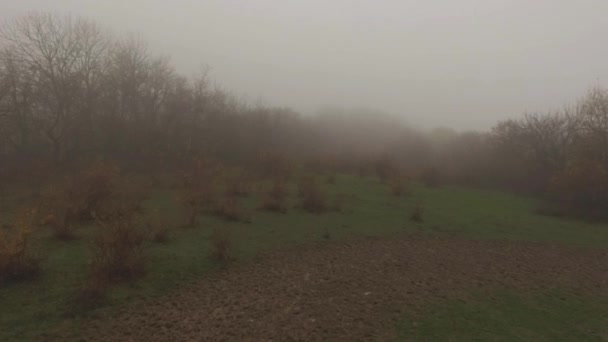 Línea de transmisión de electricidad frente al bosque nublado cerca de la carretera contryside. Le dispararon. Alambres de suministro eléctrico en la niebla por la mañana temprano — Vídeos de Stock