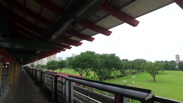 Een Mrt-trein in Singapore op het station op groene bomen achtergrond. Schot. Singapore massa snelle trein Mrt op het station. — Stockvideo