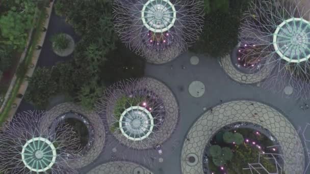 Top Légifelvételek a Supertree grove kertekben a Marina Bay Sands Szingapúrban. Lövés. Megvilágított, színes, gyönyörű fák Gardens az öböl, a nap idő, Szingapúr. — Stock videók