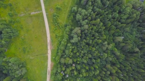 Vue de dessus de la route rurale dans la forêt verte. Clip. Route de campagne entre avenue des arbres de forêt verte dans la campagne rurale 