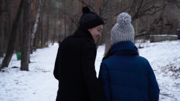 Back view of young couple walking in park in winter. Loving couple walk in embrace in park. Young man looks in love and smiles happily at his girlfriend — Stock Video