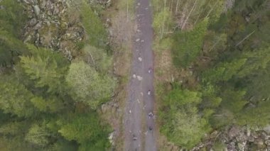 Üstten görünüm orman yolu yürüyen turist grubunun. Küçük. Turist grup ormandaki ağaçlar arasında yol boyunca dağın tepesine gider