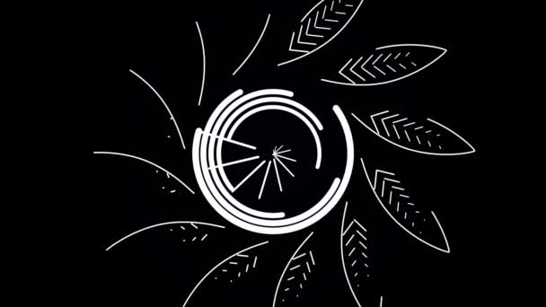 Abstraktní bílé čáry otočit ve tvaru květin ve velkém kruhu na černém pozadí. Abstraktní květina tvořená bílými čarami v kruhu točí — Stock video