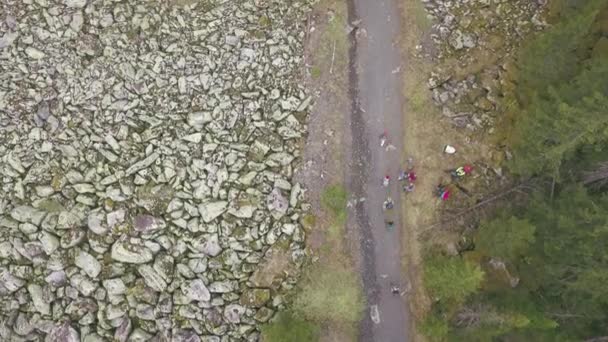 Vue du dessus du groupe de touristes marchant le long du sentier forestier. Clip. Groupe de touristes va au sommet de la montagne le long du chemin parmi les arbres dans la forêt — Video