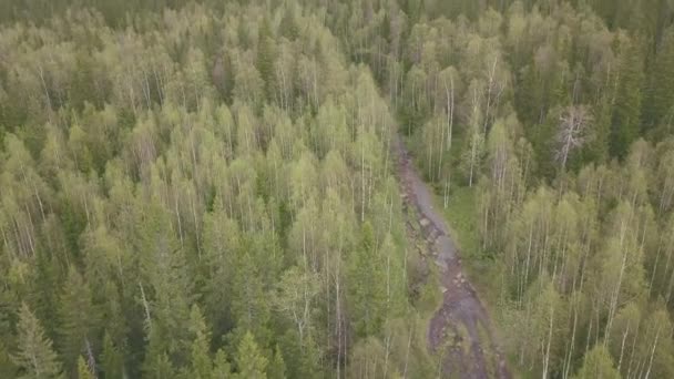 Пешая тропа в горах. Клип. Вид сверху лесной тропы в горах. Панорама леса в горах в облачную погоду — стоковое видео