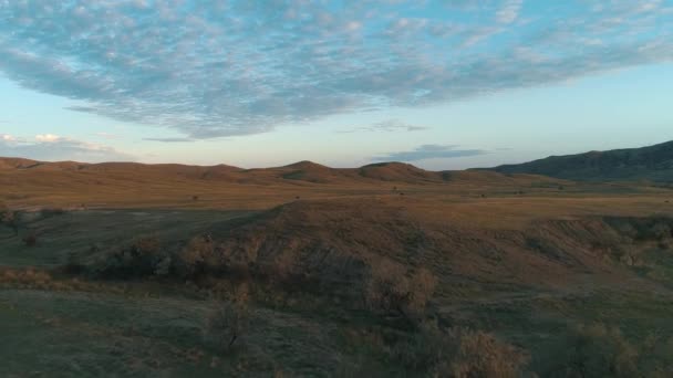 멋진 일출 아침 필드입니다. 총. 흐린 하늘 아래 나무에 의해 보호 하는 배경 언덕 — 비디오