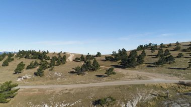 Üstten görünüm alanının kırsal yol ve araba ile. Vurdu. Panoramik mavi Berrak gökyüzü ve yeşil ağaçlar ile sarı alan