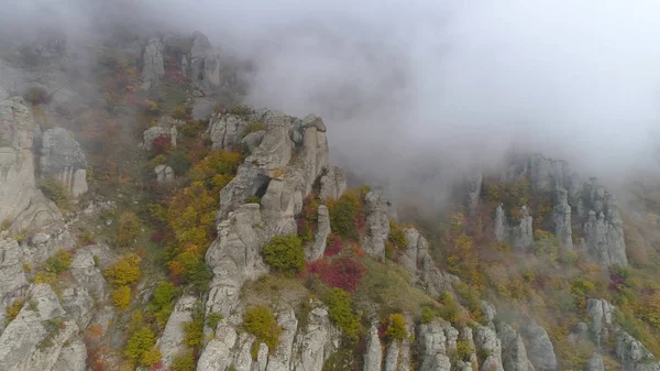 Bovenaanzicht op vrijstelling van de rotsen herfst in mist. Schot. Weergave van rotsformaties van de berg met gekleurde droog gras en struiken op mist achtergrond — Stockfoto
