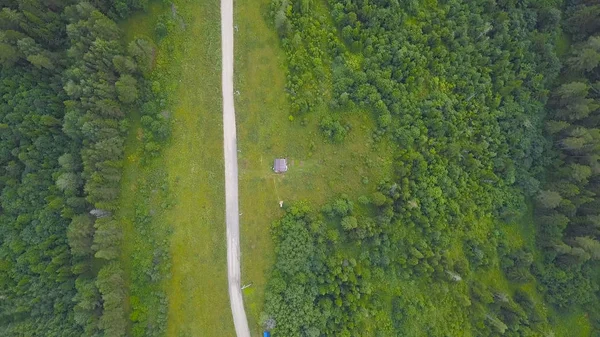 Vista dall'alto della strada rurale nella foresta verde. Clip. Strada di campagna tra viale di alberi di foresta verde in campagna rurale — Foto Stock