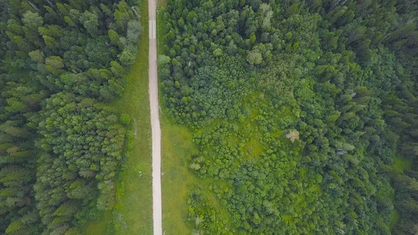 绿色森林中乡村道路的最高景观。剪辑。农村绿化林林道之间的乡村道路 — 图库照片