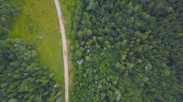 Widok z góry z wiejskiej drodze, w zielonym lesie. Klip. Polna droga między alei drzew z zielonego lasu na wsi — Zdjęcie stockowe