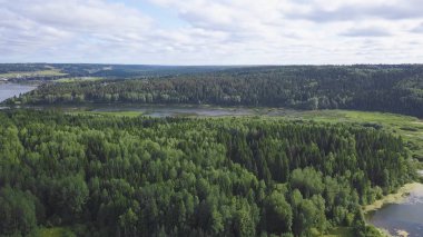 Üstten görünüm ormandaki göl kıyısında evlerin. Küçük. Huzur ve bir sığınak. Tatil şehir dışında. Ormandaki göl kenarında town yakınındaki araziler ile evler