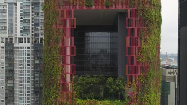 Vogels van het uitzicht op het centrale zakelijke district van Singapore en ongewone Keswick gevel hotel oog. Schot. Hoge dichtheid gebouwen van moderne stedelijke stadsgezicht en rode muren hotel met groene klimop op hen, Singapore. — Stockvideo