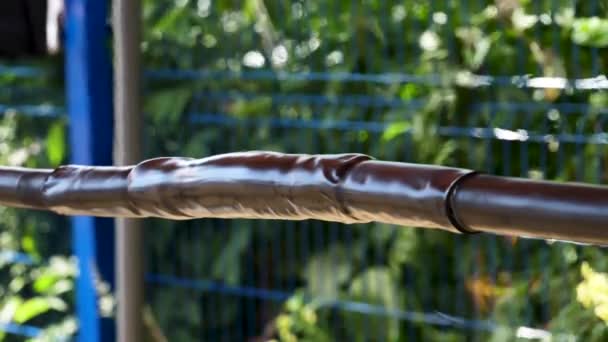 Warmte krimpen slangen voor isolatie van de draden voor blauw hek op groene bomen achtergrond. Frame. Draden bescherming proces, heat shrink tubing. — Stockvideo