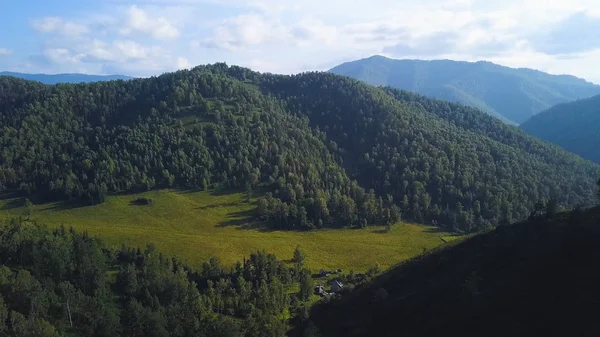 Green mountain valley, aerial landscape. Clip. Altai, Russia. Aerial Altai mountains landscape. Mountain range behind wooded plains. Altai mountains removed from the drone, aerial view