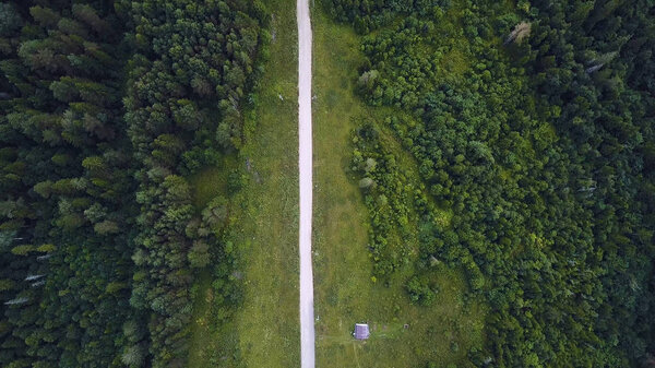 Aerial view of road among the forest and trees. Overhead aerial top view over straight road in colorful countryside autumn forest. Straight-down above perspective. Road through the green spruce forest