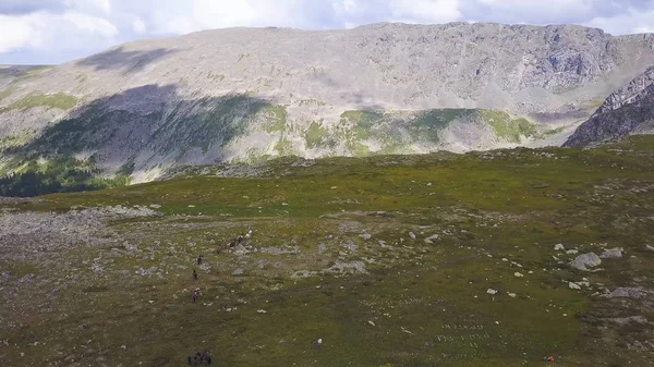 Havasokra, a völgyben, a falu a zöld fű, hegyek, rétek, legelők, panorama, felülnézeti, repülés, a hegyek fölött. Klip. A légi felvétel a Sziklás-hegység, a hó pedig egyértelmű — Stock Fotó