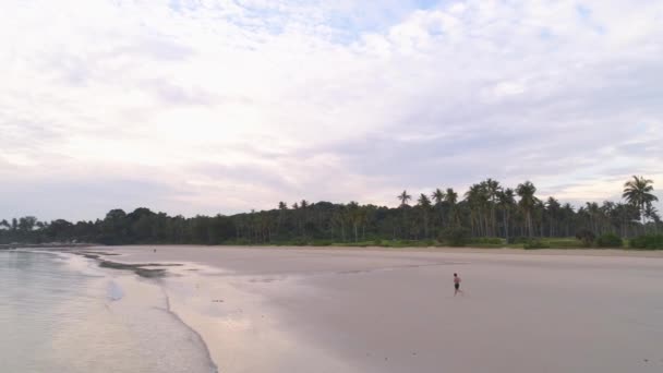 Antenn för man jogging på en tropisk sandstrand nära havet. Skott. Vackra Flygfoto över en löpare man utbildning på stranden. — Stockvideo