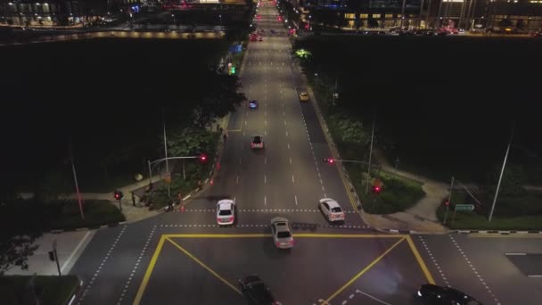 Movimento Del Traffico Notturno Centro Della Grande Città Vista Aerea — Video Stock