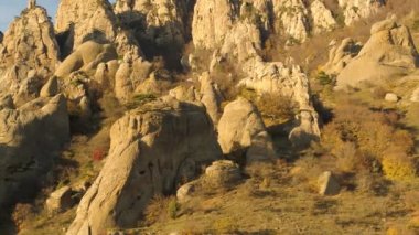 Edelweiss bir panorama olarak Alpleri'nde akşam güneşin kayaya. Vurdu. Dağ Vadisi rock ağaç manzarası. Dağ Vadisi dağ rock. Dağ Vadisi rock görünümü. Kurtlar Vadisi gerçekleşecek güneş