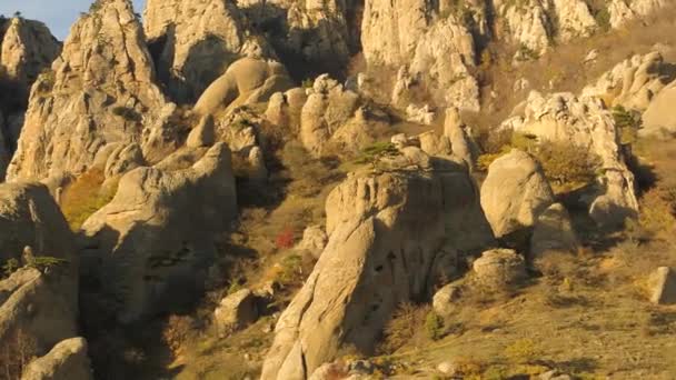 Edelweiss en la roca en el sol de la tarde en los Alpes como panorama. Le dispararon. Montaña valle roca árbol paisaje. Roca de montaña en valle de montaña. Vista al valle de la montaña. El sol se pone sobre el valle — Vídeo de stock