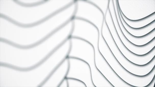 Courbes spirales blanches abstraites. Lignes courbes paramétriques. Fond blanc de lignes courbes grises dans l'espace. Animation sélective — Video