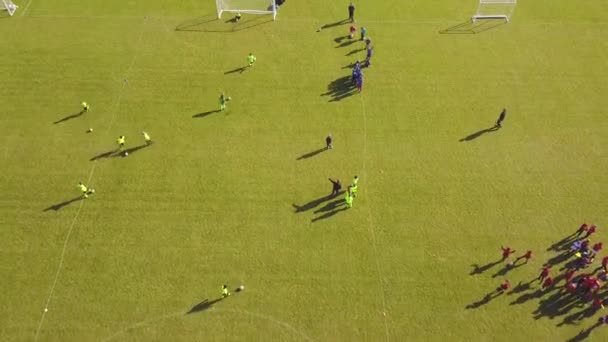 Vista aérea do treinamento de futebol ao ar livre. Treinamento de pessoas esportivas para jogo . — Vídeo de Stock