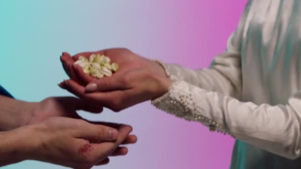 Close up for eastern young woman hands giving many small seashells to man hands, barter concept. Stock. Eastern woman in white dress holding and passing many small seashels to a man. — Stock Video
