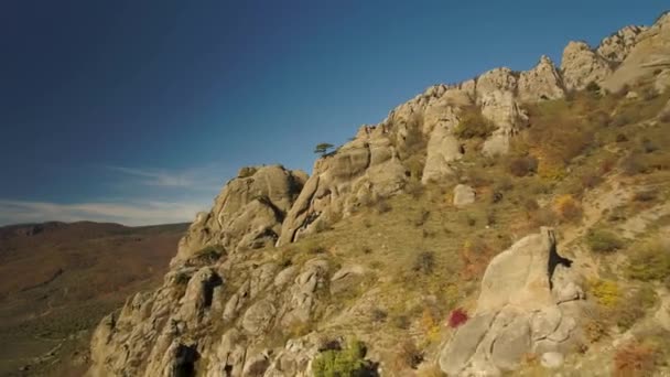 Monument Valley letecká modrá obloha pohled se stromem na okraji útesu. Střela. Krásné skály s osamělé stromy na okraji s zelená pole a modré oblohy jasno pozadím. — Stock video