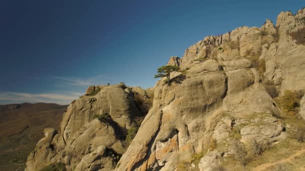 Monument Valley vue aérienne du ciel bleu avec arbre sur le bord de la falaise. Fusillade. Belles roches avec des arbres solitaires sur le bord avec champ vert et fond bleu ciel nuageux . — Video