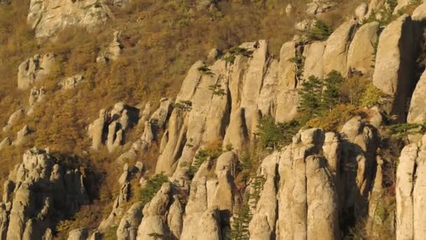 枯れた草と緑の松の木が晩秋の山の斜面の空中。ショット。明るい秋の色木や草と岩の奇怪な形の秋の風景. — ストック動画