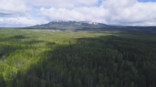 Bovenaanzicht op dichte groene bossen en bergen met sneeuw op hoogtepunt. Clip. Dichte bossen op de berghelling met besneeuwde top tegen bewolkte hemel — Stockvideo