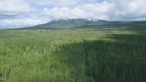Top view on dense green forest and mountain with snow at peak. Clip. Dense forests on mountainside with snow-capped top against cloudy sky — Stock Video