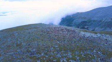 Havadan görünümü üzerinde dağ tepe Gölü arka plan ile. Şaşırtıcı dağlar yatay, havuz oyunları