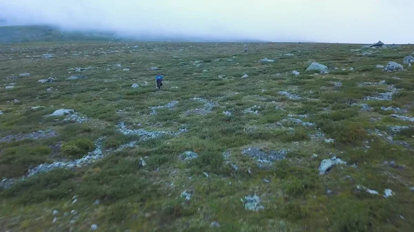Äventyrare på klippan, beundra gröna åsen som sträcker sig i dimman framför honom, resor i bergen. Bakifrån. Dramatiska bakifrån av en ensam men beslutsam man på en — Stockfoto