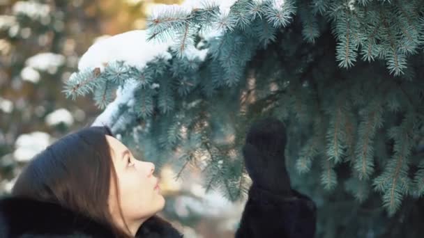 Flicka i svart fir jacka står nära en tall och röra grenar i vinter skog. Närbild. — Stockvideo