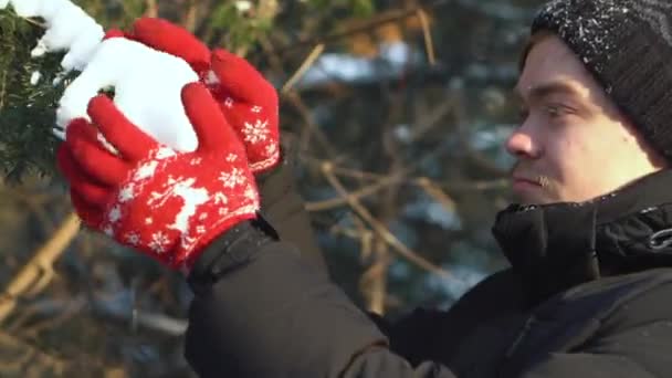 Profil av en ung man i röda handskar stående i vinter skog och skaka snön av från fir grenar. Närbild. — Stockvideo