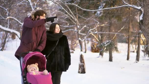 Joyeux, jeune famille marchant dans un parc d'hiver, maman, papa et bébé en poussette rose. Homme pointant le doigt et les parents regardant vers la gauche sur fond d'arbres d'hiver . — Video