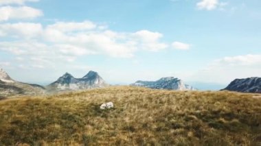 Üstten görünüm mavi gökyüzü karşı dağ panoraması. Hisse senedi. Rocky Dağları doruklarına çim eteklerinde, kapaklı güzel manzara oluşturun